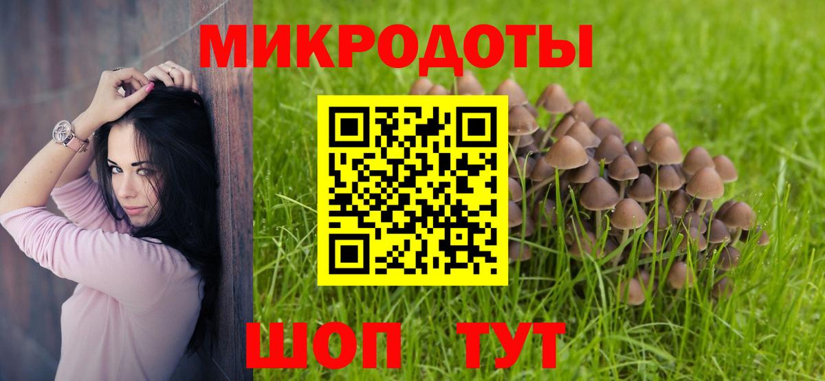 Псилоцибиновые грибы Psilocybine cubensis Домодедово